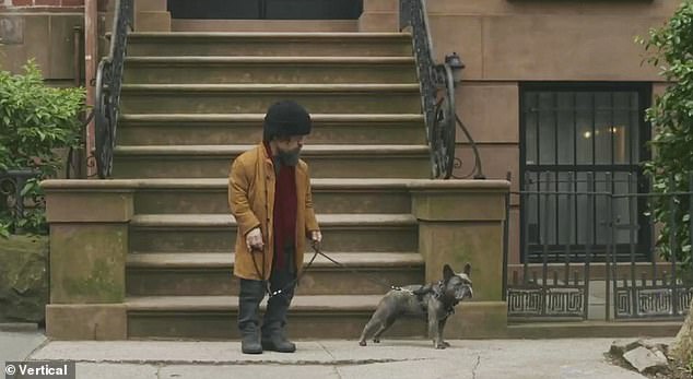 Surprising walk: As his creativity block continues, Steven mopes around and languishes idly in bed until Patricia encourages him to go on a walk and 'jolt your brain out of its little rad pattern' and 'interact with a stranger'