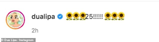 Milestone: Announcing to fans that it was her birthday she simply captioned the sizzling post: '25' alongside some flower emoji